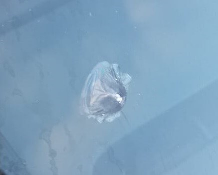 car Half moon Glass damage
